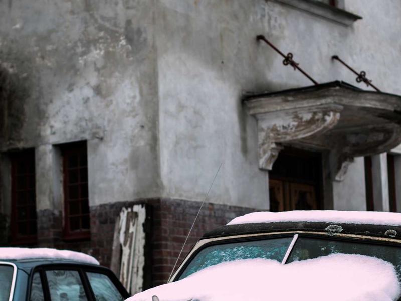 宠物侦探<br>dxiixch.cn 寻找走失猫咪